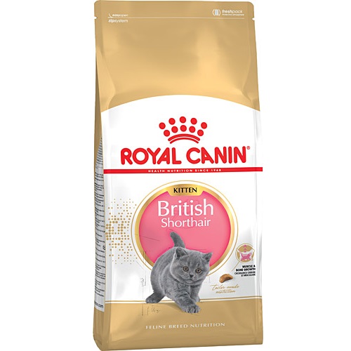 Royal Canin British Shorthair Kitten Yavru Kedi Maması