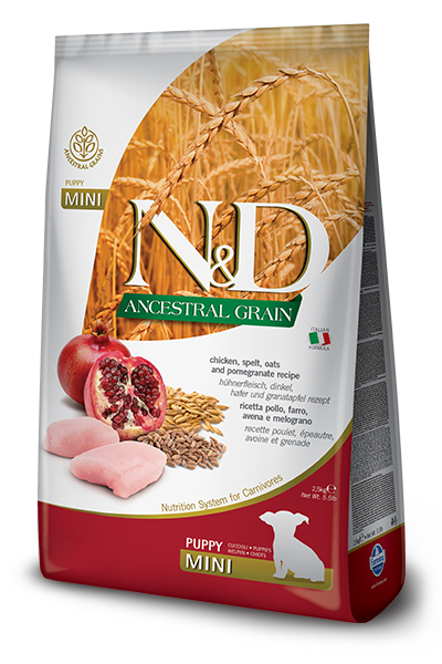 N&D Ancestral Grain Tavuklu Mini Irk Yavru Köpek Maması 2.5 kg