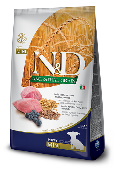 N&D Ancestral Grain Kuzu Etli Mini Irk Yavru Köpek Maması 2.5 kg