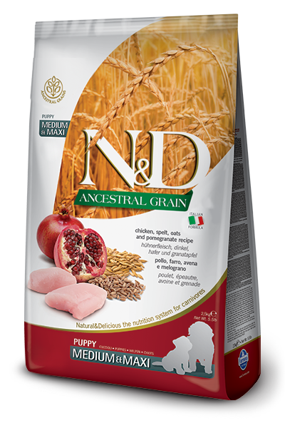 N&D Ancestral Grain Tavuklu Orta ve Büyük Irk Yavru Köpek Maması 2.5 kg