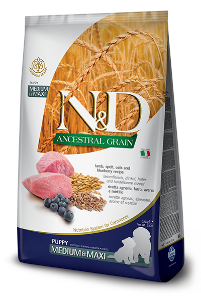 N&D Ancestral Grain Kuzu Etli Orta ve Büyük Irk Yavru Köpek Maması 2.5 kg