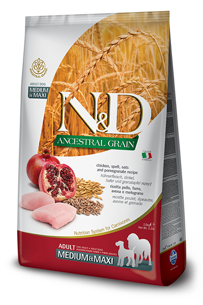 N&D Ancestral Grain Tavuklu Orta ve Büyük Irk Yetişkin Köpek Maması 12 kg