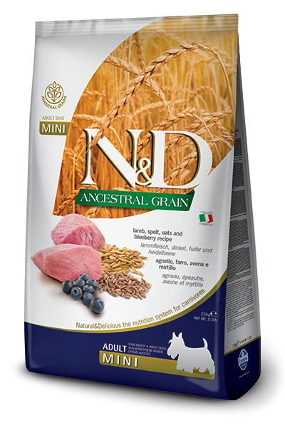 N&D Ancestral Grain Kuzu Etli Mini Irk Yetişkin Köpek Maması 2.5 kg