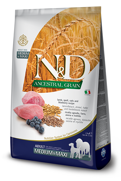 N&D Ancestral Grain Kuzu Etli Orta ve Büyük Irk Yetişkin Köpek Maması 12 kg