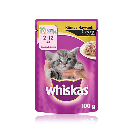 WHISKAS® Kümes Hayvanlı Gravy Soslu Yavru Kedi Maması 100 g