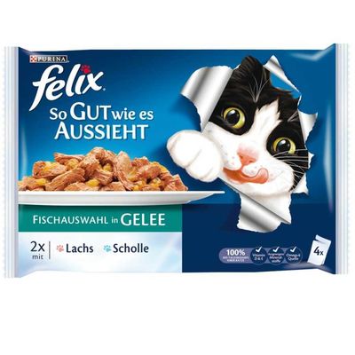 Felix Ton ve Somon Balıklı Yaş Kedi Maması 100 g