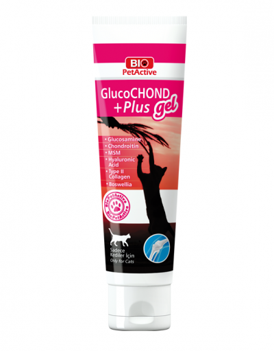 GlucoCHOND +Plus Gel
