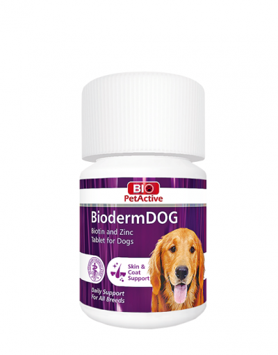 BiodermDOG | Köpekler için Biotin ve Çinko Tableti