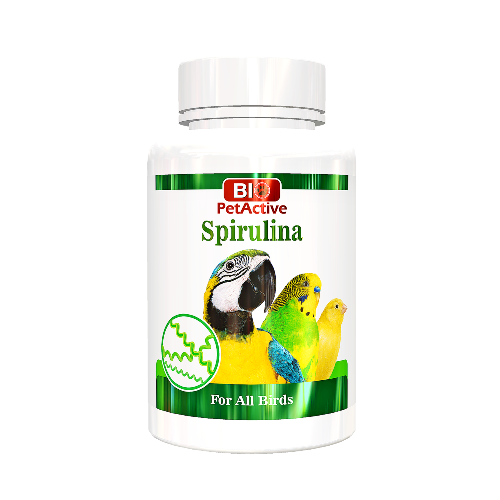 Spirulina Tüm Kuşlar İçin