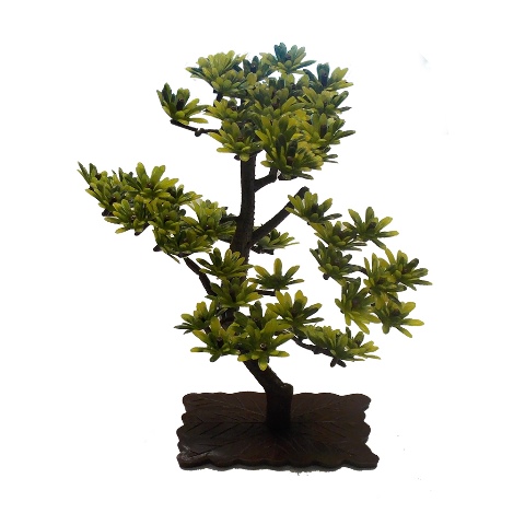 DOPHIN BONSAI BİTKİ