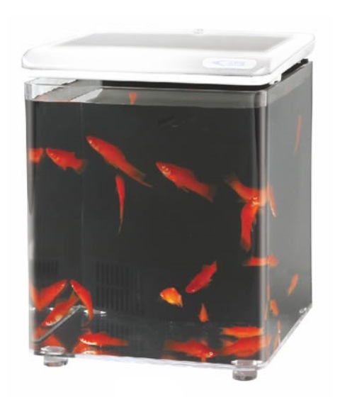 AQUASYNCRO FİSH HOME AKVARYUM BEYAZ 20x20x26 CM