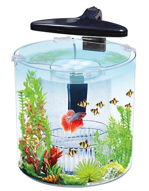 AQUASYNCRO İKİLİ AKVARYUM 13 LT 25X25X25 CM