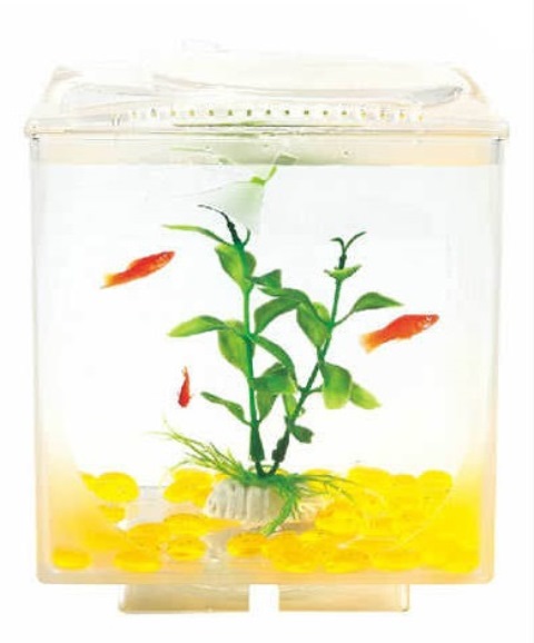 AQUASYNCRO APPLE WİNDOWS 15x15x18 CM