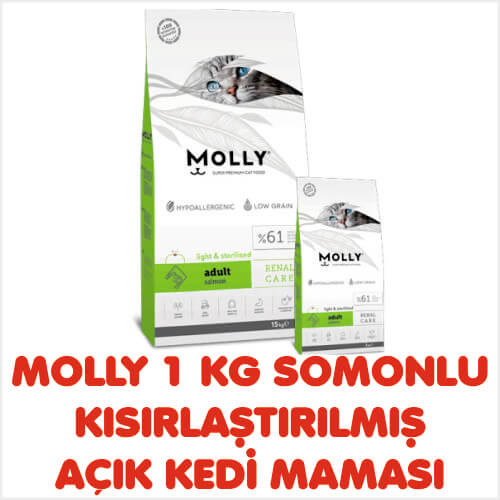 MOLLY 1 KG SOMONLU KISIRLAŞTIRILMIŞ AÇIK KEDİ MAMASI