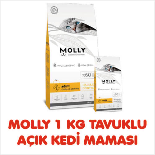 MOLLY 1 KG TAVUKLU AÇIK KEDİ MAMASI