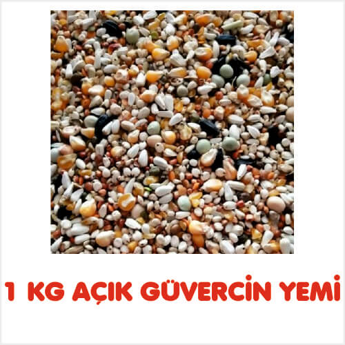 1 KG AÇIK GÜVERCİN YEMİ