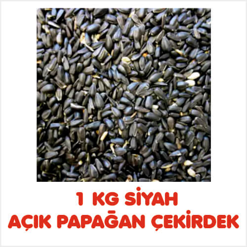 1 KG SİYAH AÇIK PAPAĞAN ÇEKİRDEK